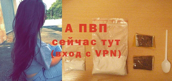 МДПВ Валдай